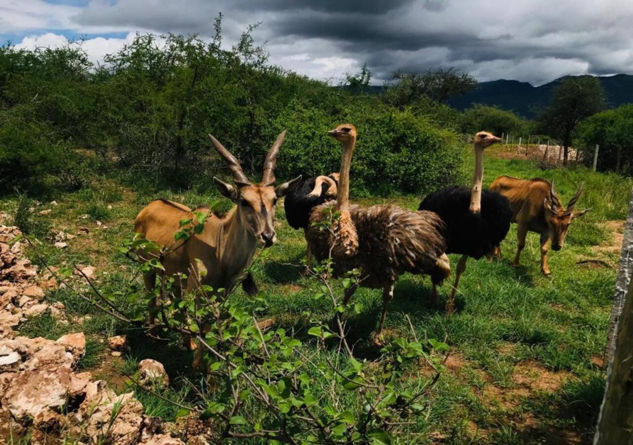 Oldonyo Orok Lodge Kajiado Dış mekan fotoğraf