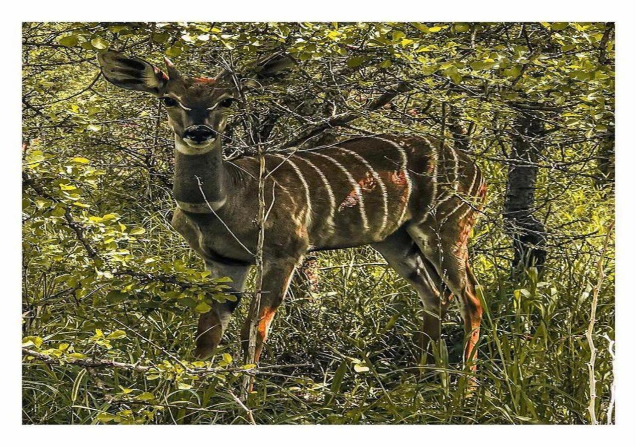 Oldonyo Orok Lodge Kajiado Dış mekan fotoğraf