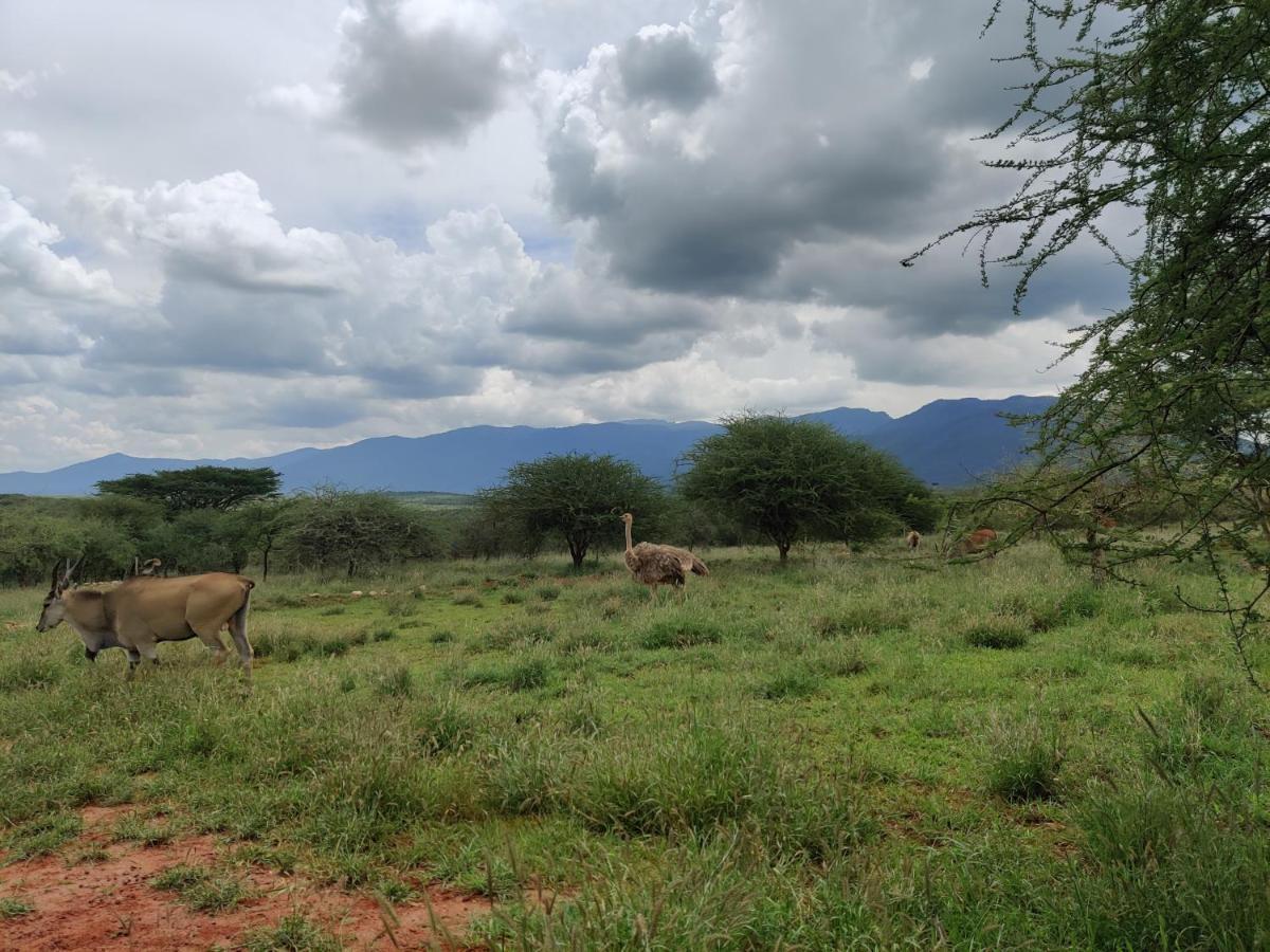 Oldonyo Orok Lodge Kajiado Dış mekan fotoğraf