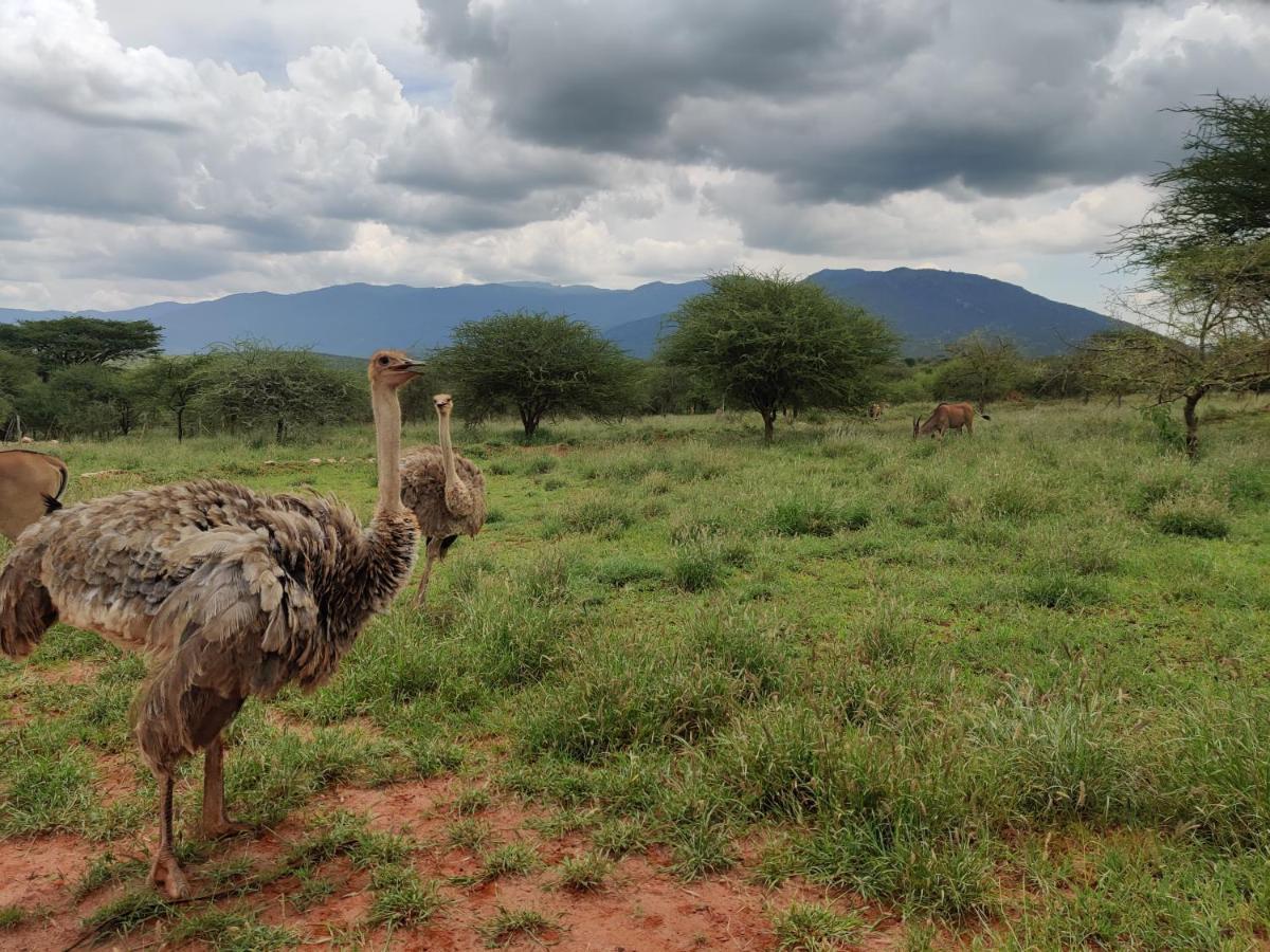 Oldonyo Orok Lodge Kajiado Dış mekan fotoğraf