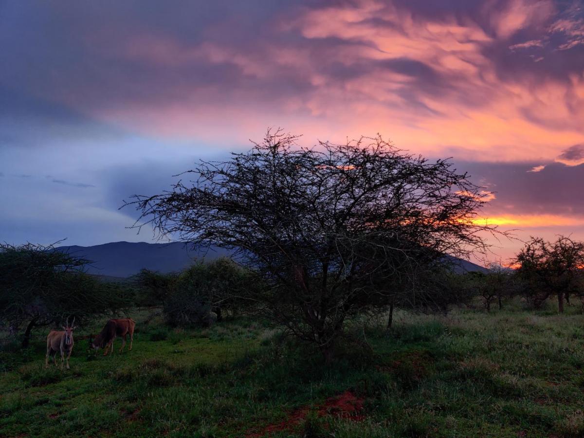 Oldonyo Orok Lodge Kajiado Dış mekan fotoğraf
